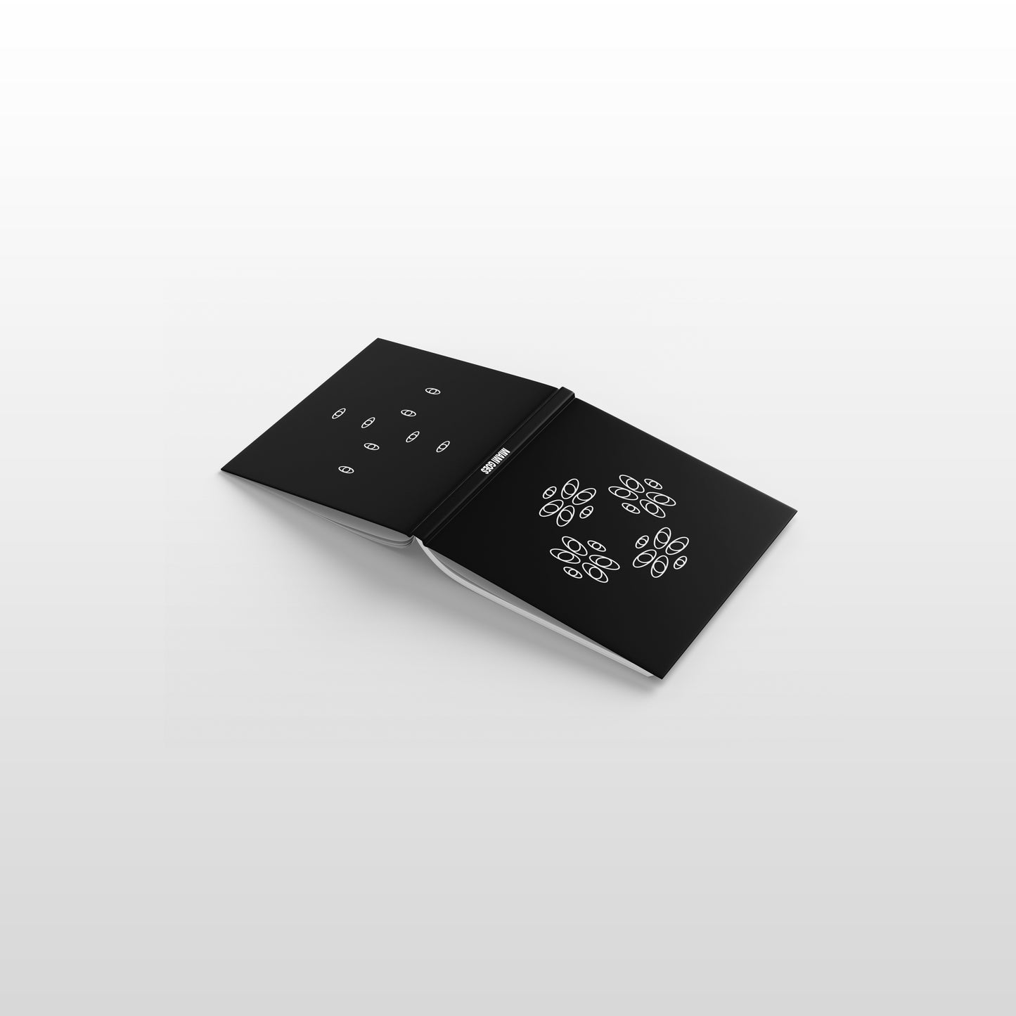 "AEoM" A Book, by Miami Goes