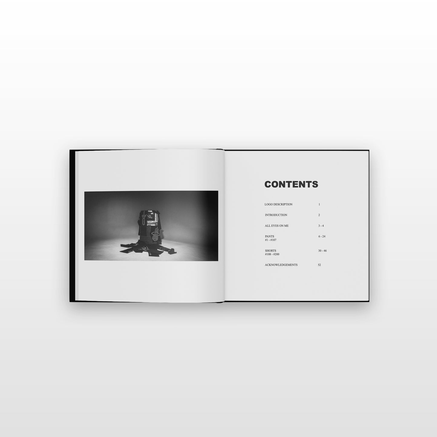 "AEoM" A Book, by Miami Goes